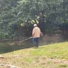 Jose landscaping profile image