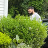Tsafaridis Landscaping Construction profile image