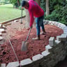 Zapatito's landscaping LLC profile image