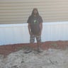 RawZ Tree Removal profile image