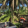 B & D Lawn Care/Tree service profile image