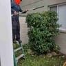 All trades property maintenance LLC profile image