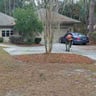 Kelly's family landscaping & cleaning profile image