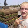 Flowers Quality Landscape Maintenance profile image