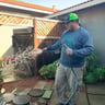 Cisneros goldenlandscaping profile image