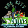 Bus city bullys lawncare & cleaning profile image