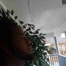 Brandon's lawn service profile image