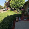 Lawn care profile image