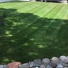 Fischer Landscape Design and Lawn Maintenance profile image