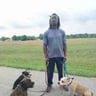 Brian Duffins Lawncare profile image