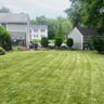 Daphne Landscaping profile image