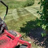 Best lawn care profile image