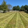 D & C Lawn Care profile image