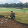 Michaels Lawn Services profile image