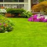 Lovely lawncare services profile image