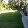 Progressive landscape & Consulting maintenance profile image
