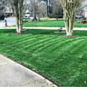 Mr. Greenjeans landscaping profile image