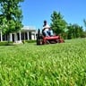Platnum Lawn Care profile image