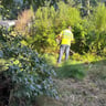 Huggins sons landscaper profile image