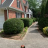 Sunrise to sunset landscaping and design profile image