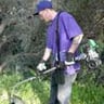 Yvette lawns service profile image