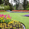 Loyalty lane landscaping profile image