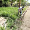 Landscaping Tamaulipas profile image