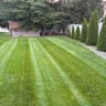 Optimal lawn-care and landscaping profile image