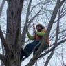 Trent's Trees and Landscaping profile image