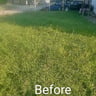 Lawn,Garden&home Landscaping$Handyman srevices profile image
