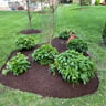 Lawn services JAV profile image