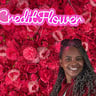 LJS LAWN SERVICE profile image