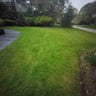 Andrews Landscaping profile image