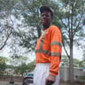 Offit's island the lawn doctor profile image