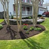Amaya's landscaping and junk removal profile image