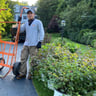 Jimenez Gonzalez Landscaping profile image