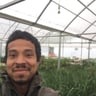 The gardener profile image
