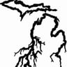 Wild Roots Total Property Management profile image