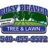 Busy Beaver Tree & Lawn profile image