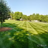 Merritt Lawn Maintenance profile image