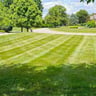 Cypress Lawn Care profile image