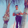 Standin on a limb llc profile image