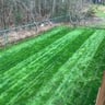 Turf Barbers NC profile image