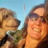 Lisha Loves Lawncare profile image