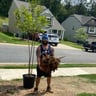 Lawnborne Landscaping profile image