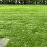 Victory Lawn care profile image