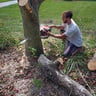 Morgan's Mowing and More profile image