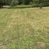 Prime Time lawn service LLC profile image