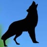 Lone Wolf Lawn Care profile image