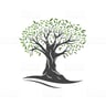 Thomas Landscape & Maintenance profile image